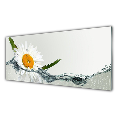 Glasbild aus Plexiglas® Gänseblümchen Wasser Kunst