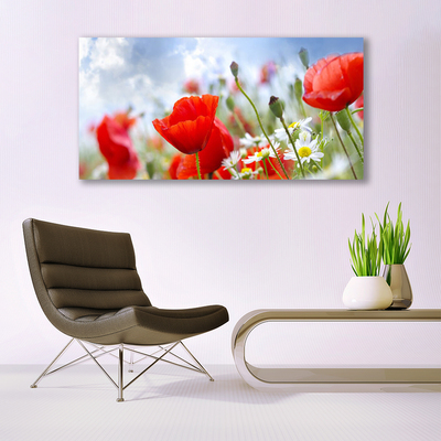 Glasbild aus Plexiglas® Mohnblumen Gänseblümchen Pflanzen