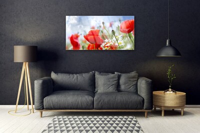 Glasbild aus Plexiglas® Mohnblumen Gänseblümchen Pflanzen