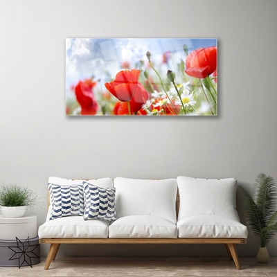 Glasbild aus Plexiglas® Mohnblumen Gänseblümchen Pflanzen