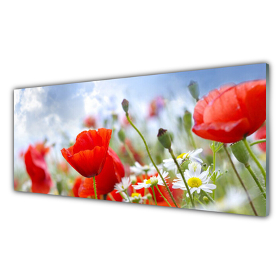 Glasbild aus Plexiglas® Mohnblumen Gänseblümchen Pflanzen