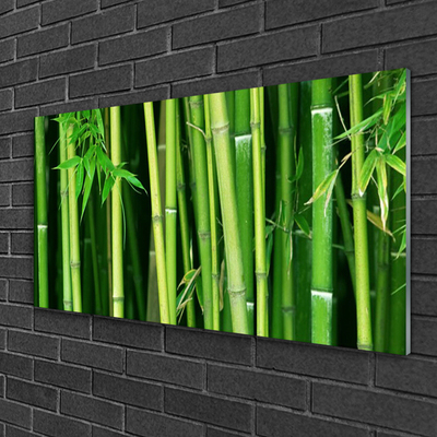 Glasbild aus Plexiglas® Bambusrohre Pflanzen