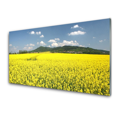 Glasbild aus Plexiglas® Wiese Natur