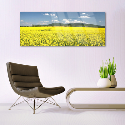 Glasbild aus Plexiglas® Wiese Natur