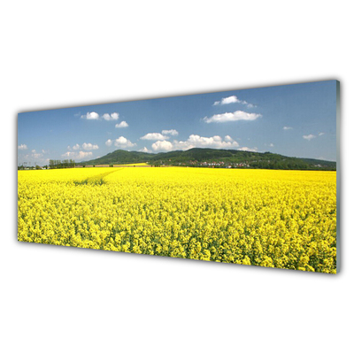 Glasbild aus Plexiglas® Wiese Natur