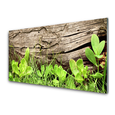 Glasbild aus Plexiglas® Gras Blätter Pflanzen