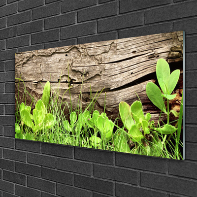 Glasbild aus Plexiglas® Gras Blätter Pflanzen