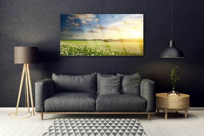 Glasbild aus Plexiglas® Wiese Blumen Landschaft