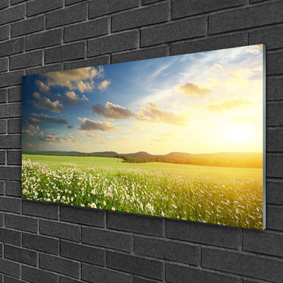 Glasbild aus Plexiglas® Wiese Blumen Landschaft