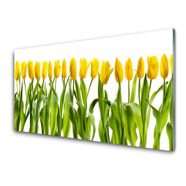 Glasbild aus Plexiglas® Tulpen Pflanzen