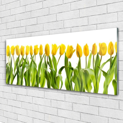 Glasbild aus Plexiglas® Tulpen Pflanzen