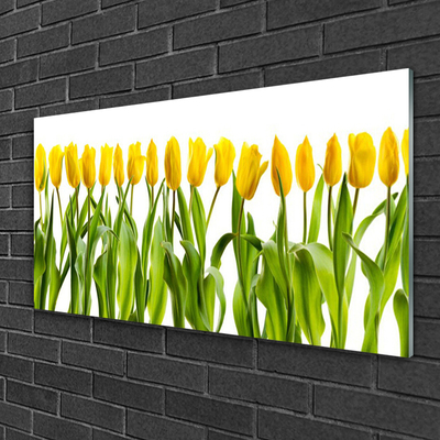 Glasbild aus Plexiglas® Tulpen Pflanzen