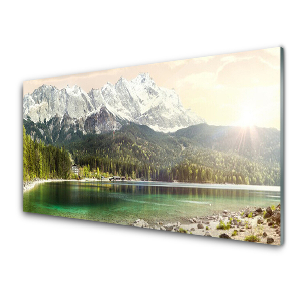 Glasbild aus Plexiglas® Gebirge Wald See Landschaft