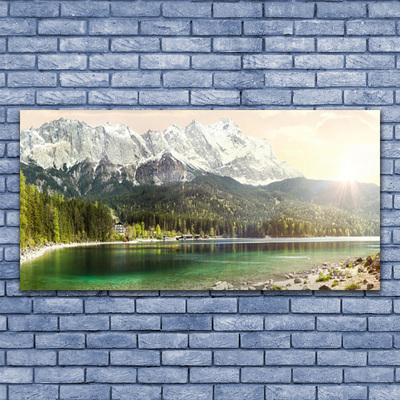 Glasbild aus Plexiglas® Gebirge Wald See Landschaft