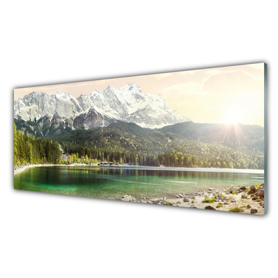 Glasbild aus Plexiglas® Gebirge Wald See Landschaft