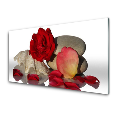 Glasbild aus Plexiglas® Rose Muschel Steine Kunst