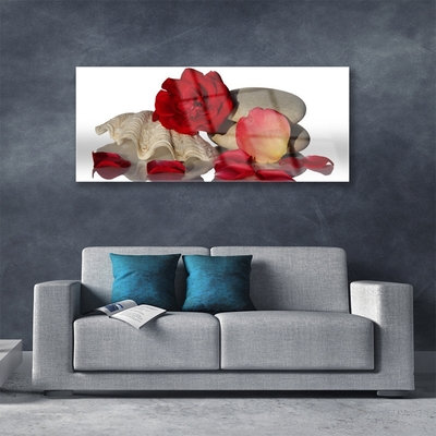 Glasbild aus Plexiglas® Rose Muschel Steine Kunst