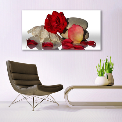 Glasbild aus Plexiglas® Rose Muschel Steine Kunst