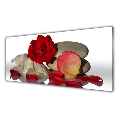 Glasbild aus Plexiglas® Rose Muschel Steine Kunst