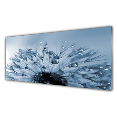 Glasbild aus Plexiglas® Pusteblume Pflanzen