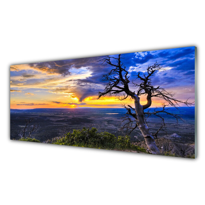 Glasbild aus Plexiglas® Baum Landschaft