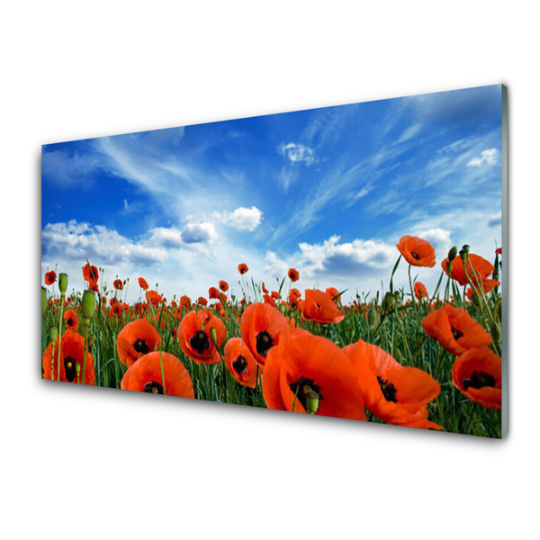 Glasbild aus Plexiglas® Wiese Mohnblumen Pflanzen