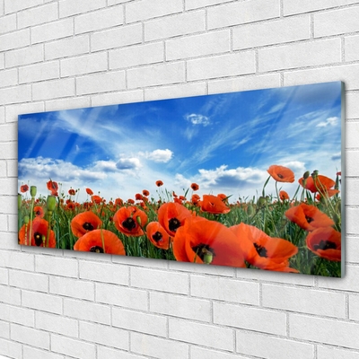 Glasbild aus Plexiglas® Wiese Mohnblumen Pflanzen