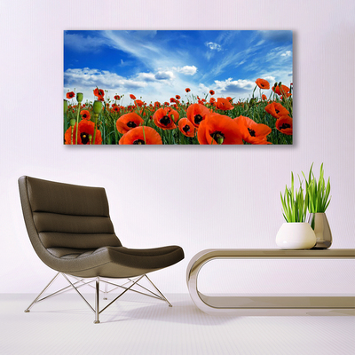 Glasbild aus Plexiglas® Wiese Mohnblumen Pflanzen