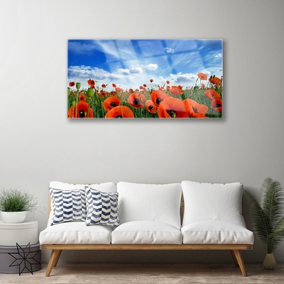 Glasbild aus Plexiglas® Wiese Mohnblumen Pflanzen