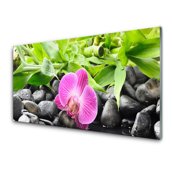 Glasbild aus Plexiglas® Blume Blätter Steine Kunst