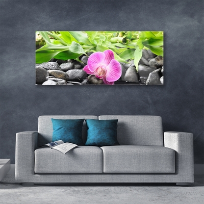 Glasbild aus Plexiglas® Blume Blätter Steine Kunst