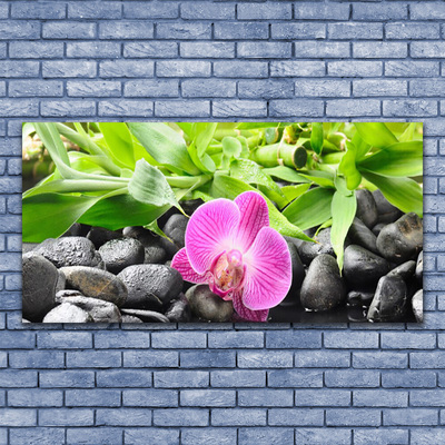 Glasbild aus Plexiglas® Blume Blätter Steine Kunst