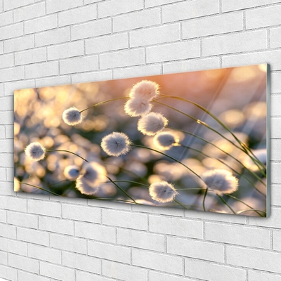 Glasbild aus Plexiglas® Blumen Pflanzen