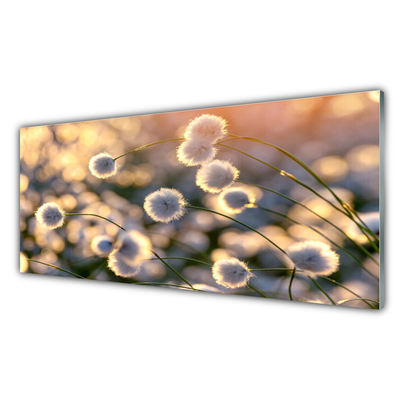 Glasbild aus Plexiglas® Blumen Pflanzen