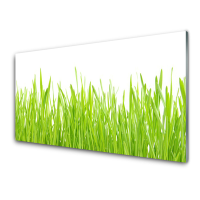 Glasbild aus Plexiglas® Gras Natur