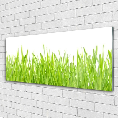 Glasbild aus Plexiglas® Gras Natur