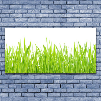 Glasbild aus Plexiglas® Gras Natur