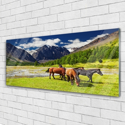 Glasbild aus Plexiglas® Gebirge Bäume Pferde Tiere