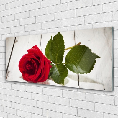 Glasbild aus Plexiglas® Rose Pflanzen