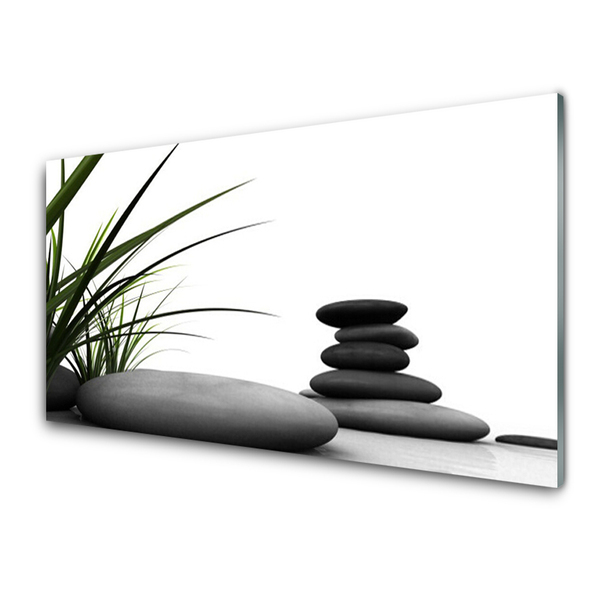 Glasbild aus Plexiglas® Gras Steine Kunst