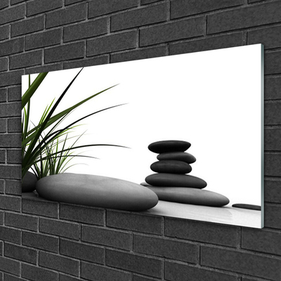Glasbild aus Plexiglas® Gras Steine Kunst