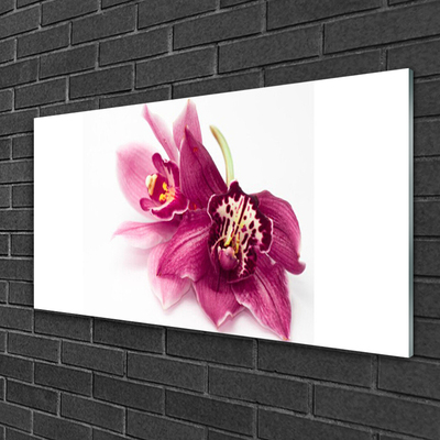 Glasbild aus Plexiglas® Blumen Pflanzen