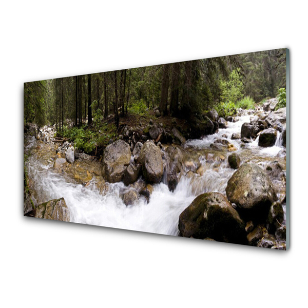 Glasbild aus Plexiglas® Wald Bach Steine Natur