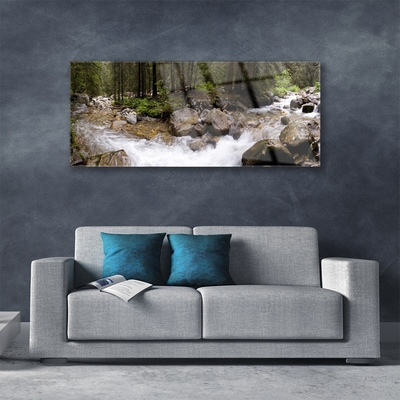 Glasbild aus Plexiglas® Wald Bach Steine Natur