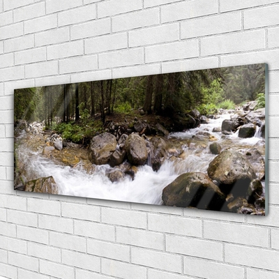 Glasbild aus Plexiglas® Wald Bach Steine Natur