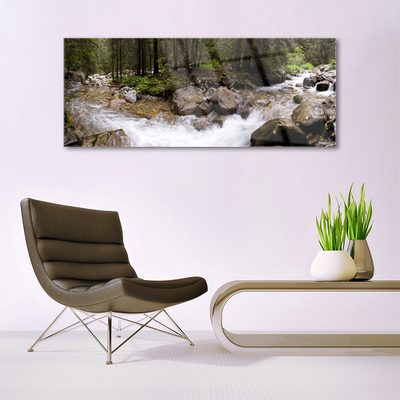 Glasbild aus Plexiglas® Wald Bach Steine Natur