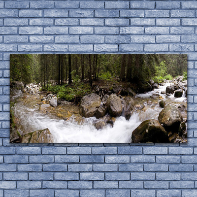Glasbild aus Plexiglas® Wald Bach Steine Natur
