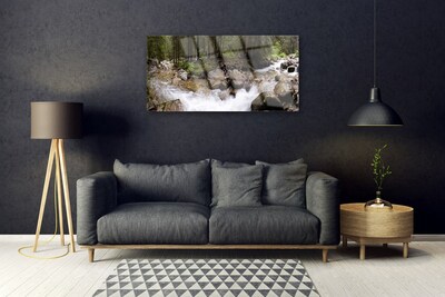 Glasbild aus Plexiglas® Wald Bach Steine Natur