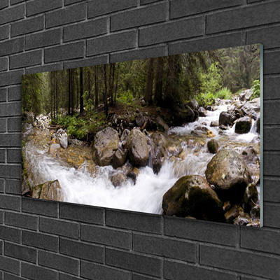 Glasbild aus Plexiglas® Wald Bach Steine Natur