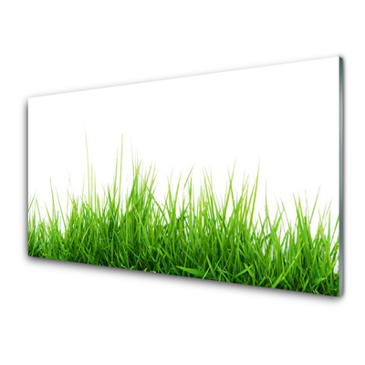 Glasbild aus Plexiglas® Gras Natur